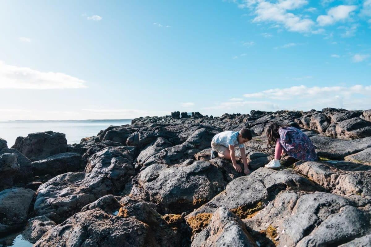 Takapuna Beachfront W Stunning Views Окленд Екстер'єр фото
